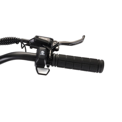 Teverun Blade Mini Ultra 60V 27Ah Akku, 1000W*2 Schwarz